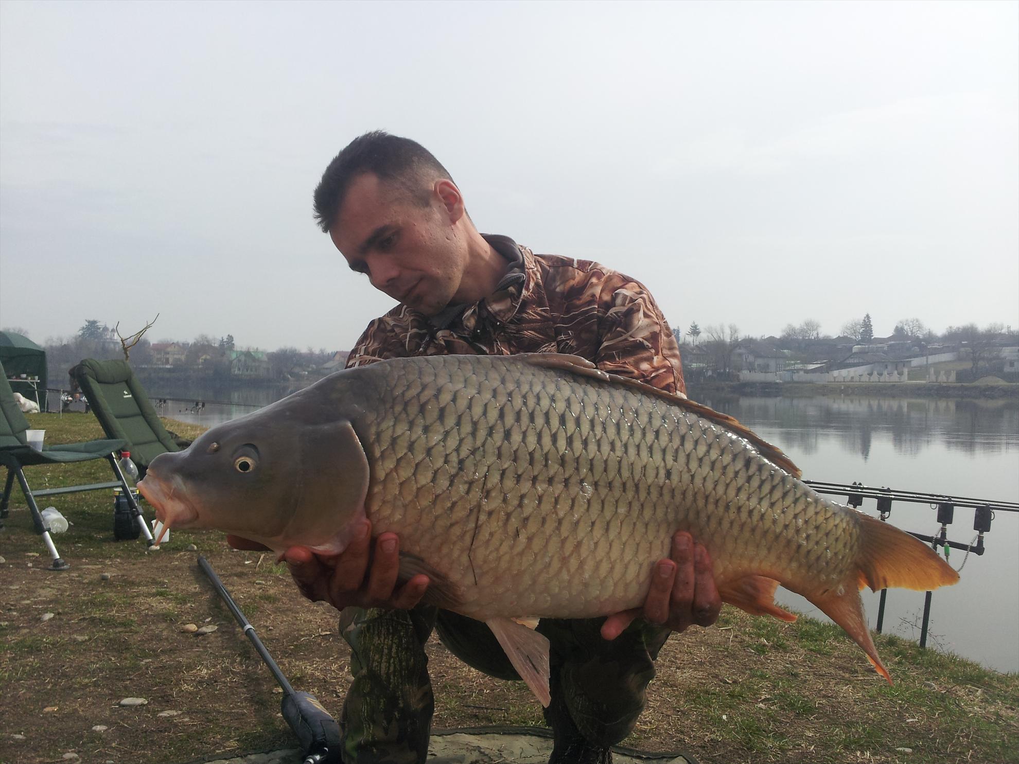 moara vlasiei 2013 - 20130310113245.jpg